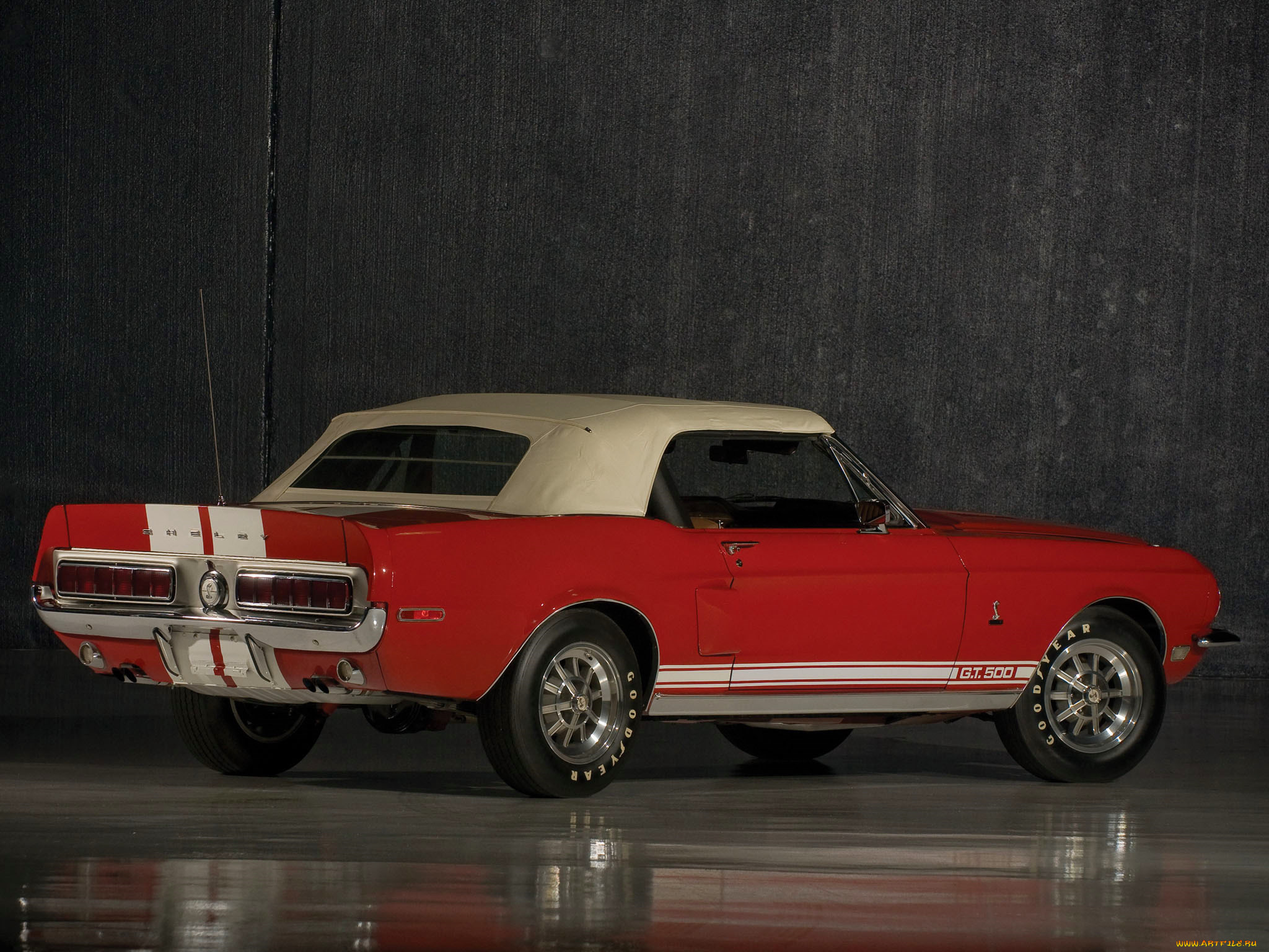 , mustang